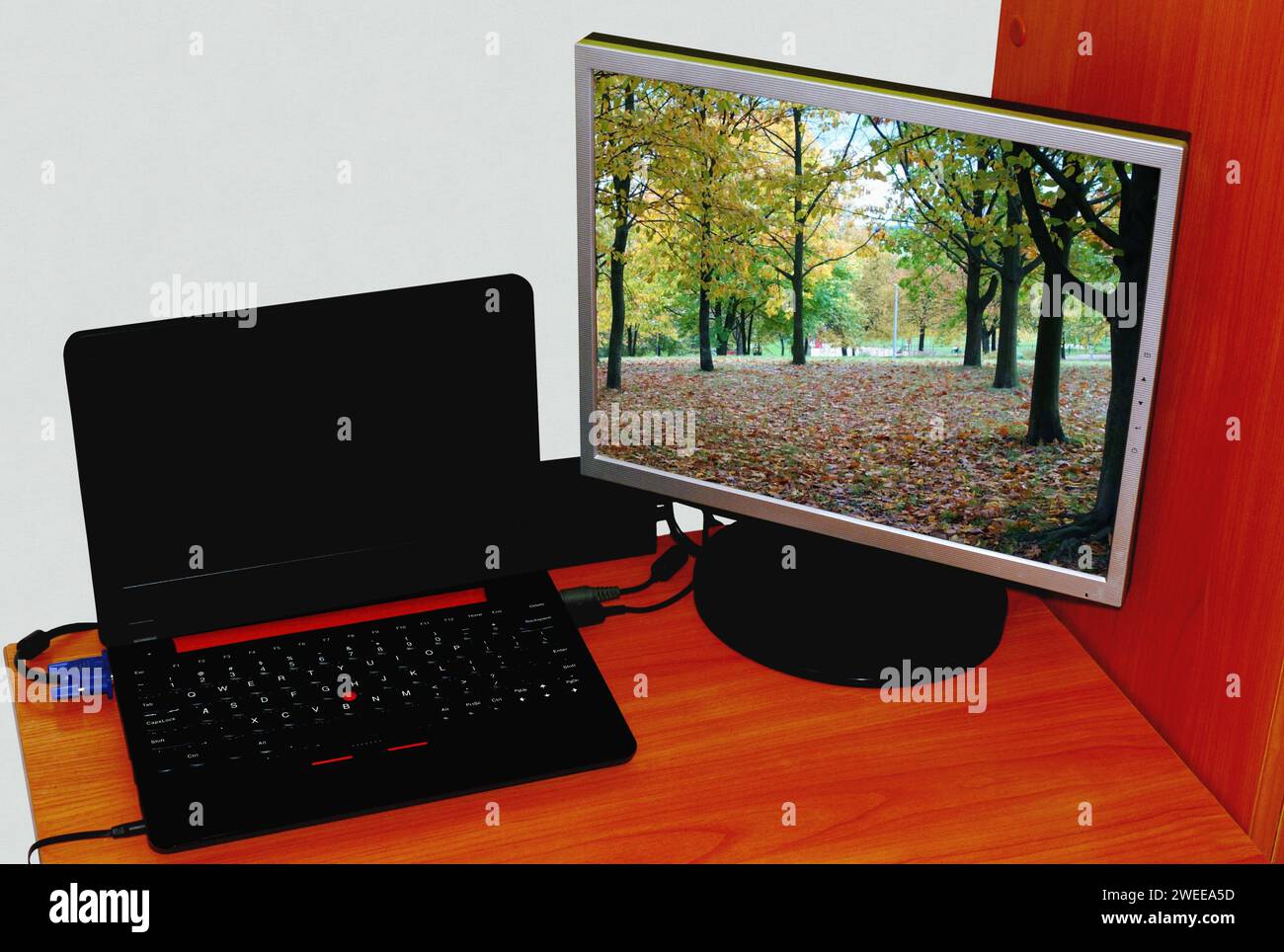 Cheap solution an old laptop and a monitor connected to it as a TV and