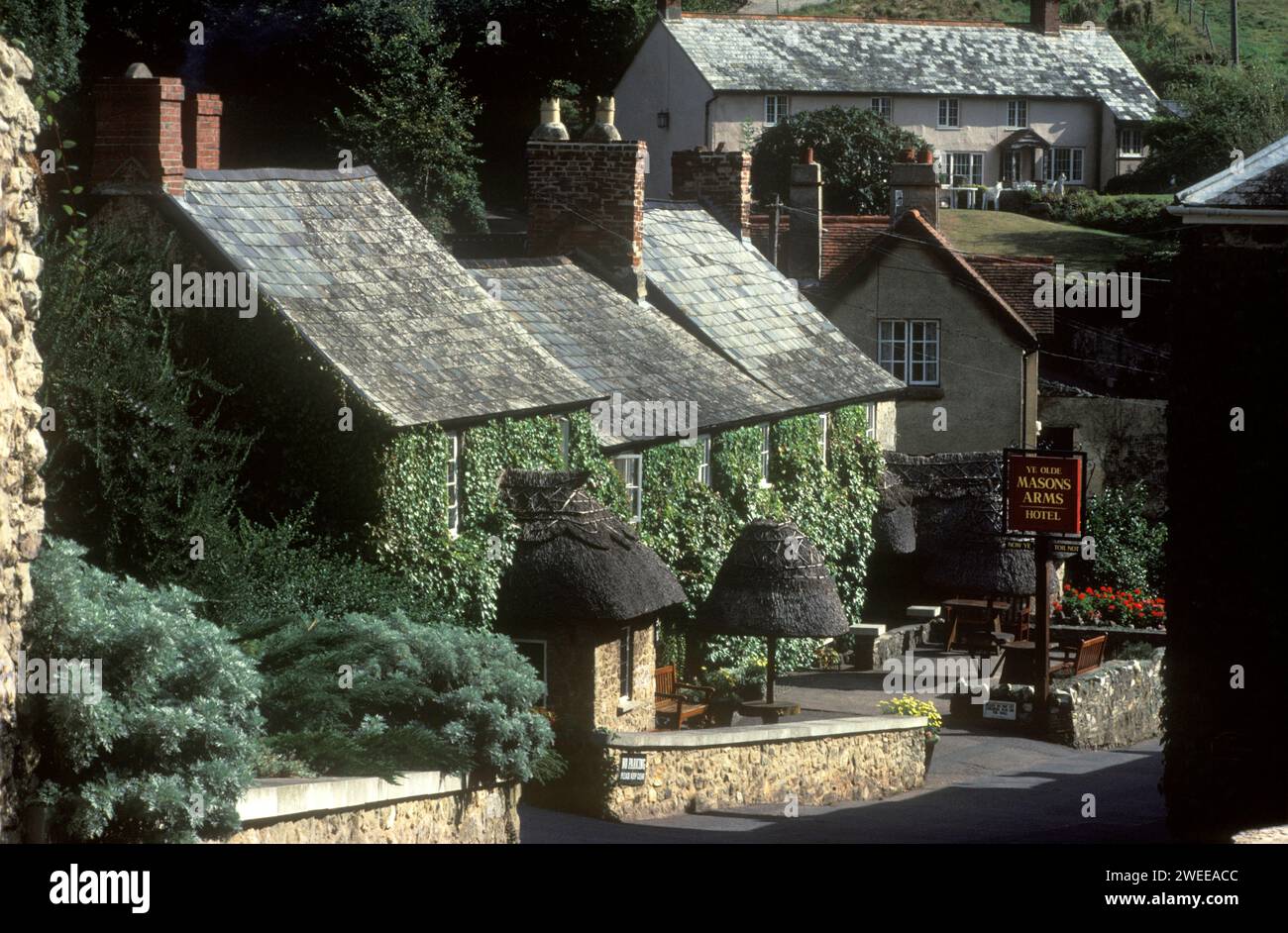 UK Village Pub The Mason Arms Branscombe Devon Ivy Clad Picturesque uk-village-pub-the-mason-arms-branscombe-devon-ivy-clad-picturesque
