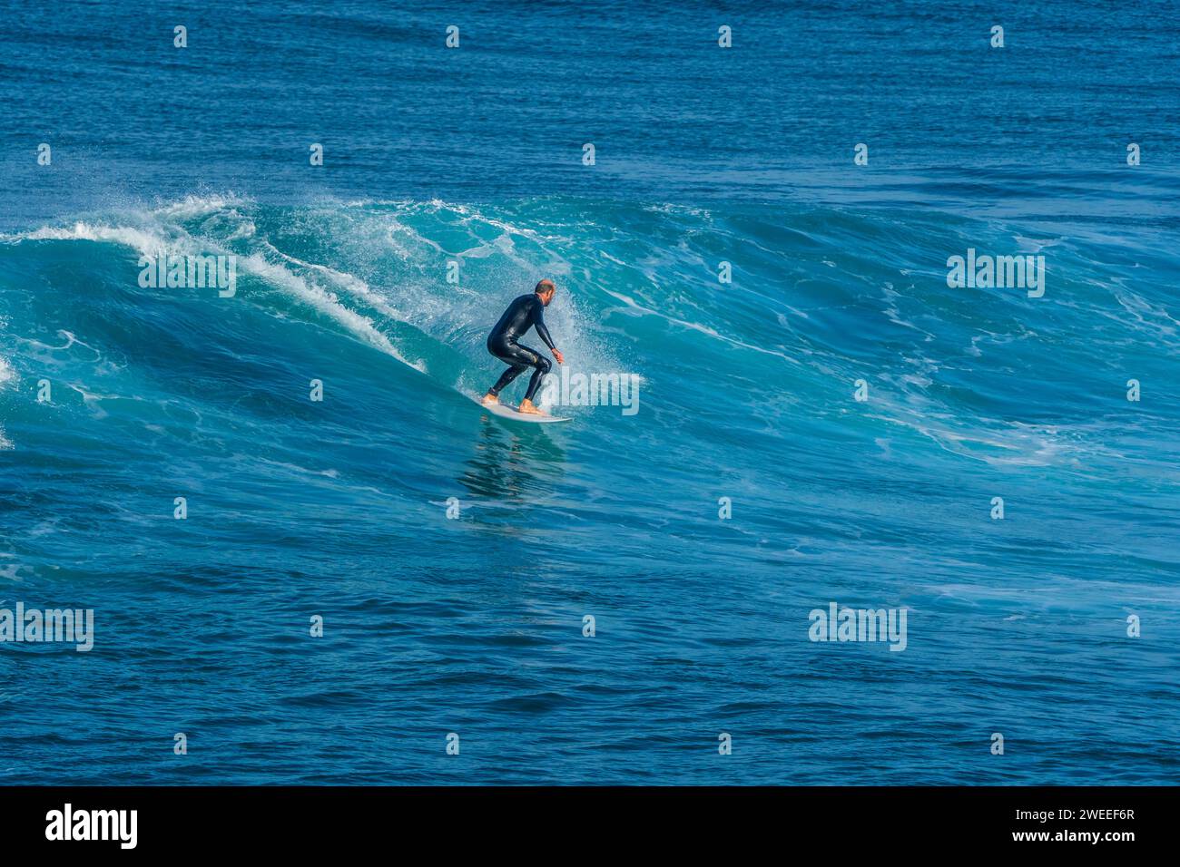 Surfing the wave in Carrapateira, Portugal Stock Photo