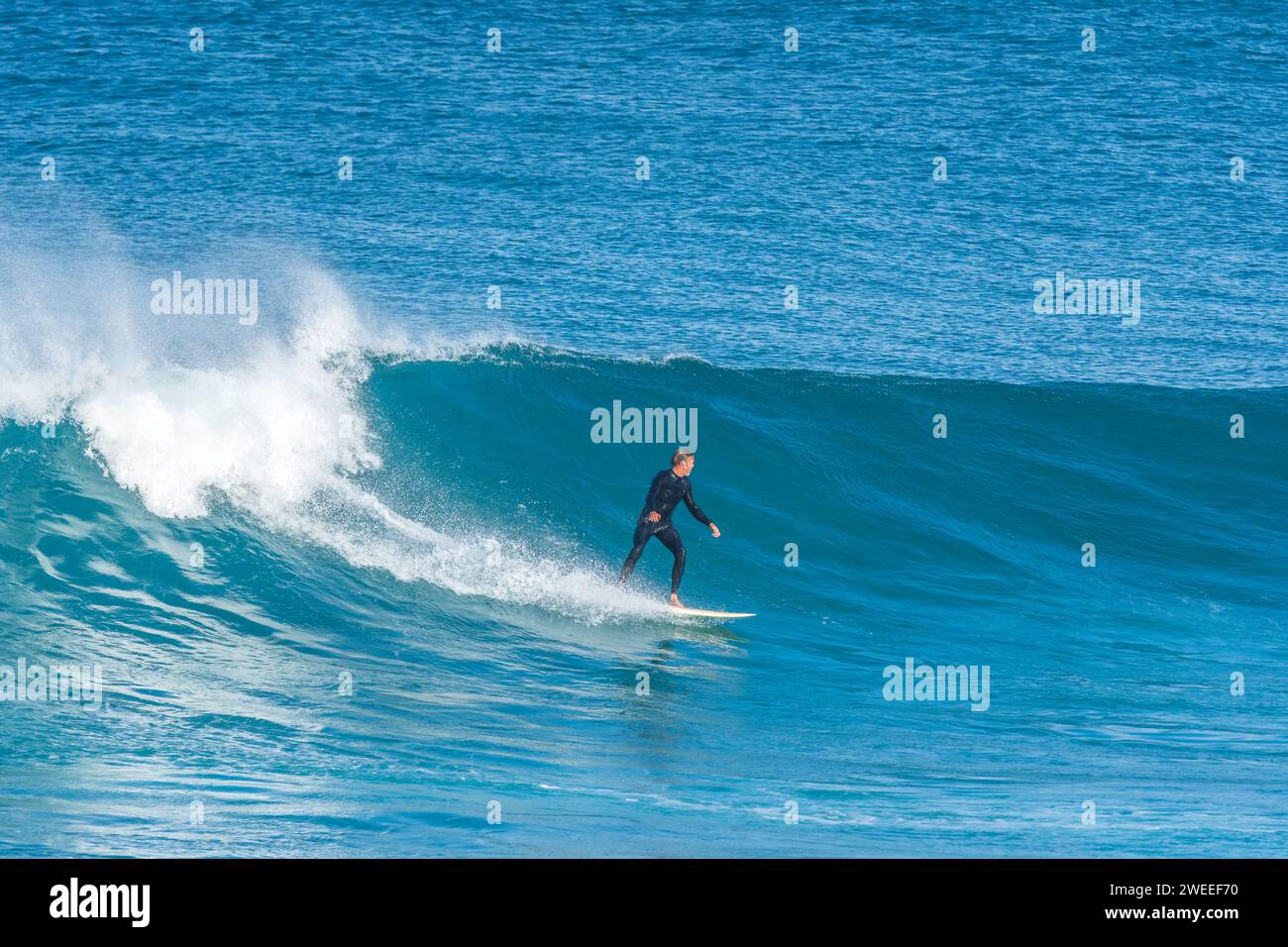 Surfing the wave in Carrapateira, Portugal Stock Photo
