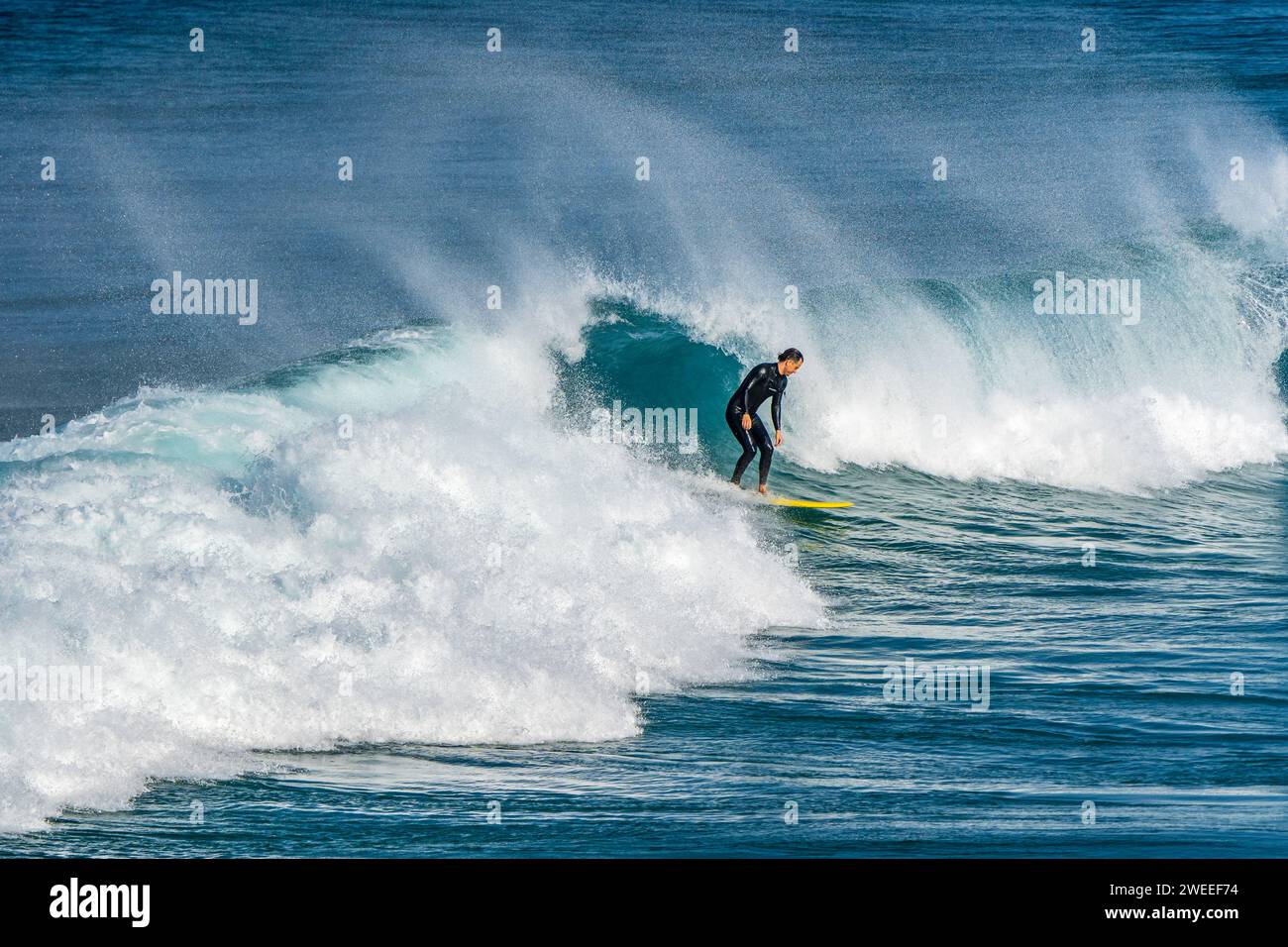 Surfing the wave in Carrapateira, Portugal Stock Photo