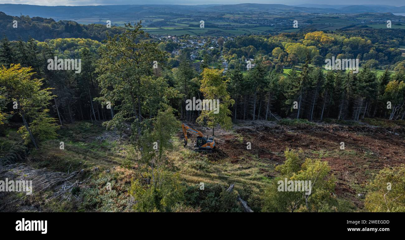 A massive tractor effectively clearing land in a forest, surrounded by dirt and trees Stock Photo