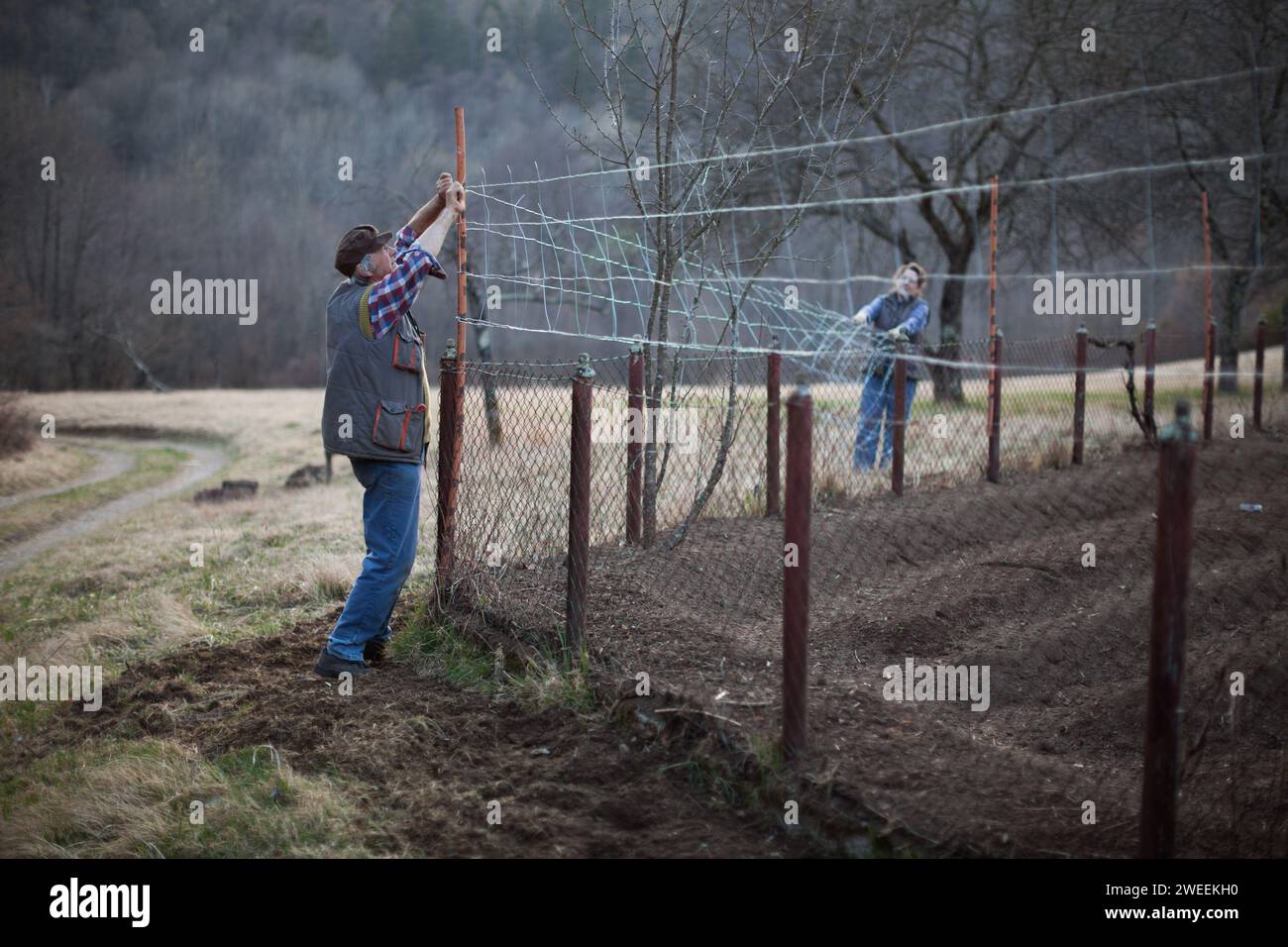 Farmer and his wife building a fence to protect vegetable garden from animals in countryside
