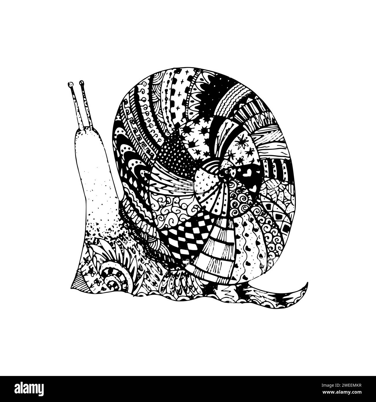 Vector outline cute snail in style of doodle with spiral shell, side view, isolated black outline on white. Stock Photo