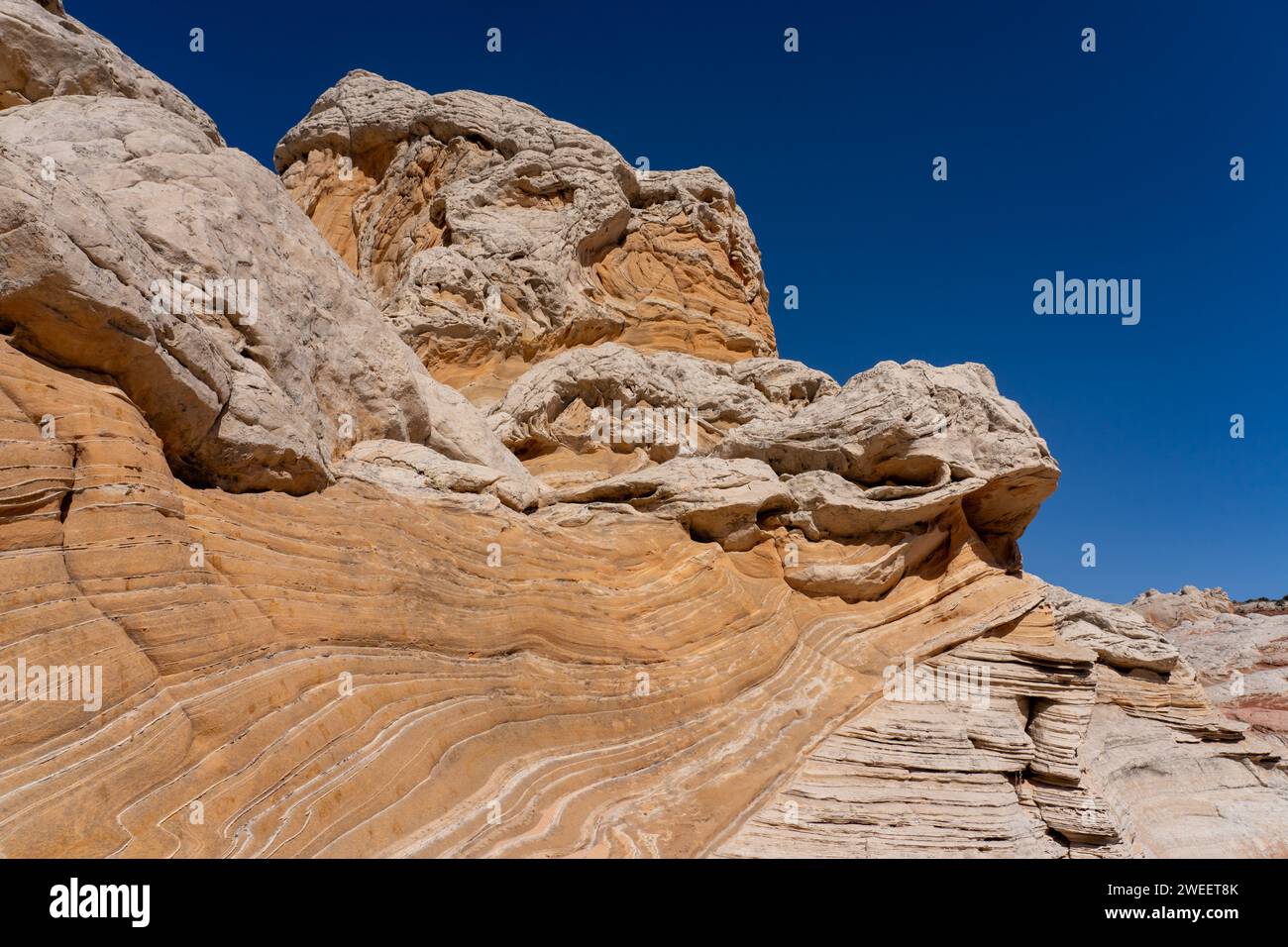 Eroded Navajo sandstone in the White Pocket Recreation Area, Vermilion Cliffs National Monument, Arizona.  Shown is a good example of cross-bedding in Stock Photo