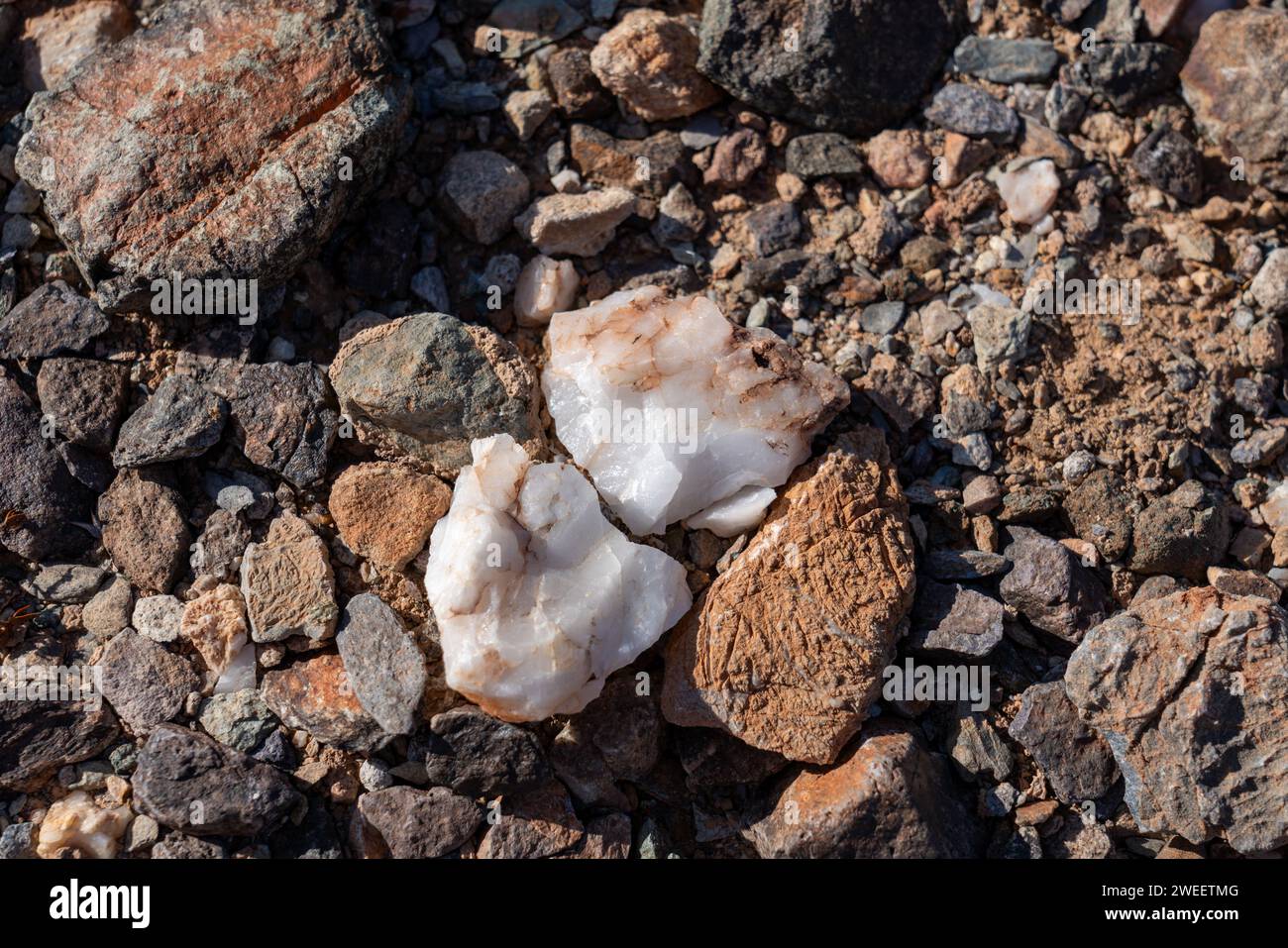 Quartz and other rocks on the ground of the Sonoran Desert near Quartzsite, Arizona. Stock Photo