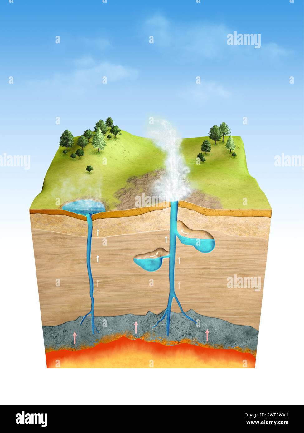 Cross-section of the Earth's crust showing how Geysers and hot springs work. Digital illustration, 3D render. Stock Photo