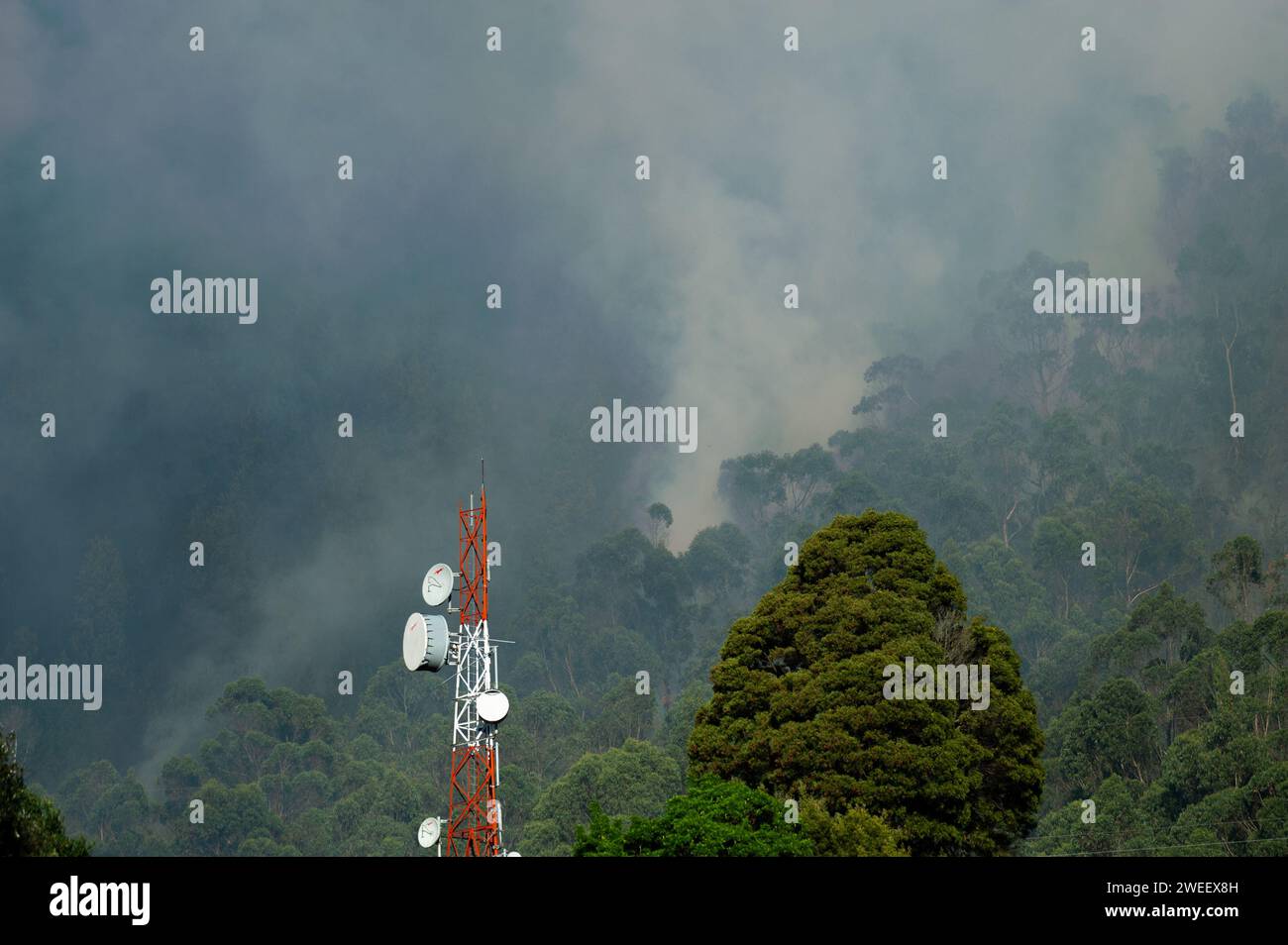 Smoke rises from a wildfire in Bogota's eastern mountains , wildfires rose to 5 during January 24, 2024, after hot temperatures and no precipitation w Stock Photo