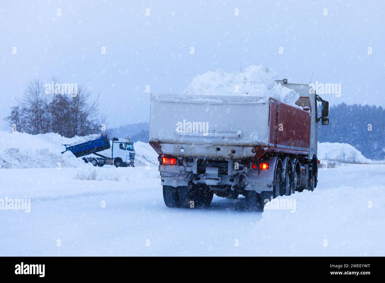 Tipper truck transporting a load of cleared snow away from town to snow dump in winter snowfall, rear view. In distance, another truck unloading. Stock Photo