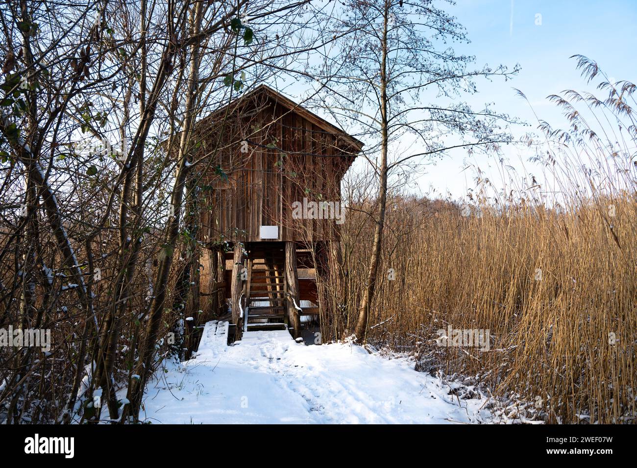 Biodiversity Haff Reimech, wetland and nature reserve in Luxembourg ...