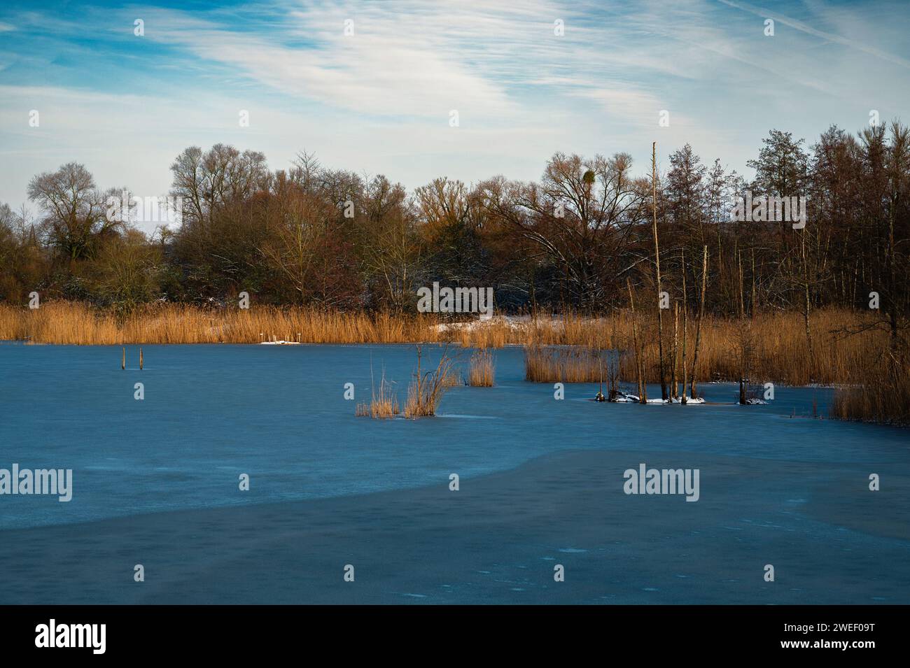 Biodiversity Haff Reimech, wetland and nature reserve in Luxembourg ...