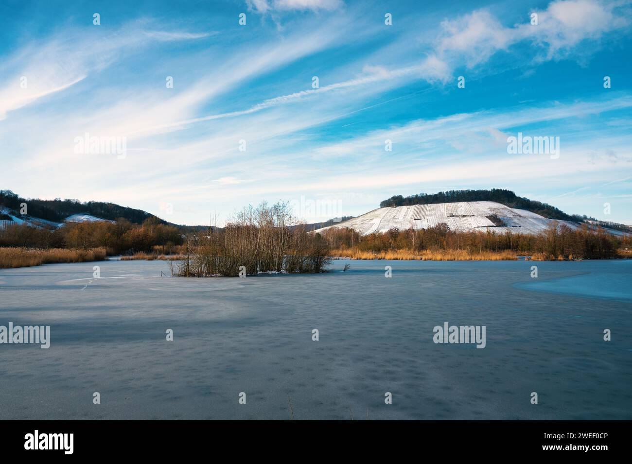 Biodiversity Haff Reimech, wetland and nature reserve in Luxembourg ...