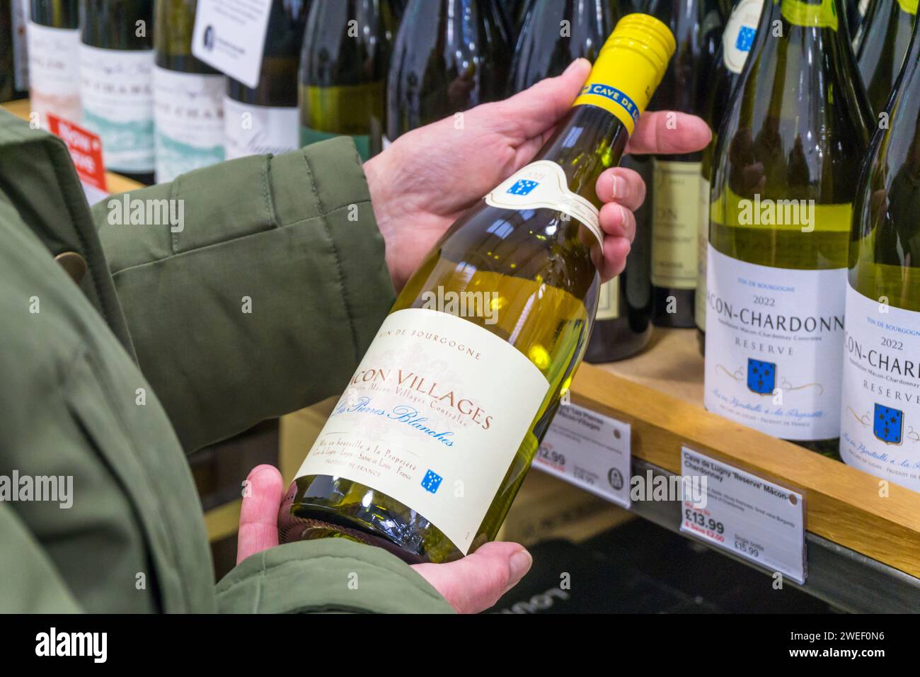 Woman considering a bottle of French Macon Villages white wine in a Majestic Wine off-licence. Stock Photo