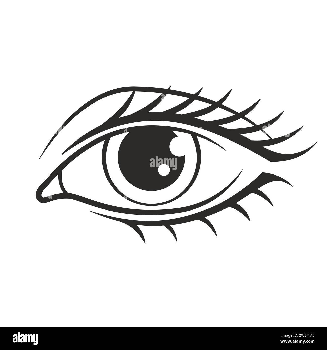 Woman Eye Line Illustration Vector Icon Stock Vector Image Art Alamy woman-eye-line-illustration-vector-icon-stock-vector-image-art-alamy