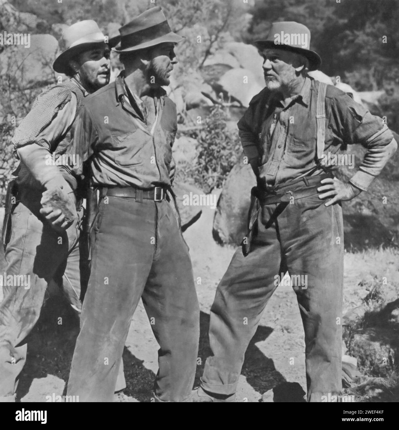 Tim Holt, Humphrey Bogart, and Walter Huston star in 'The Treasure of the Sierra Madre' (1948). In this iconic adventure drama, Bogart portrays Fred C. Dobbs, a down-and-out American in Mexico, while Holt plays his young companion, Bob Curtin. Walter Huston delivers a standout performance as Howard, the seasoned prospector guiding their quest for gold in the Sierra Madre mountains. Their journey, marked by the challenges of nature and the growing greed among them. Stock Photo