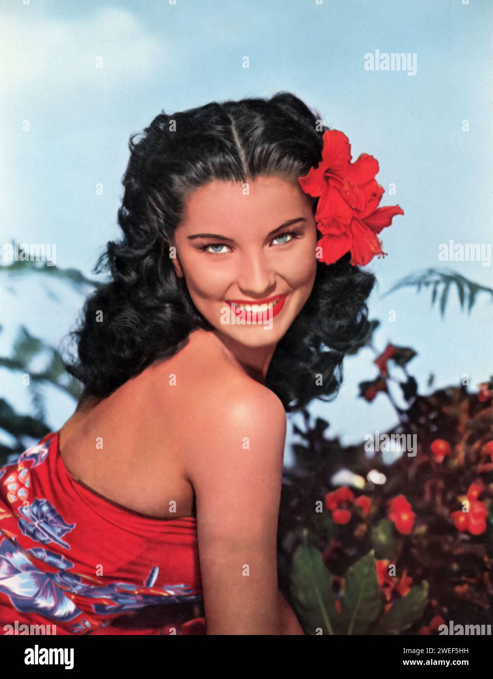 A portrait of actress and star Debra Paget, renowned for her roles in films like 'Bird of Paradise' (1951). In this romantic drama, set against the lush backdrop of the Polynesian islands, Paget plays Kalua, a beautiful island princess caught in a forbidden love affair with a visiting American. Stock Photo