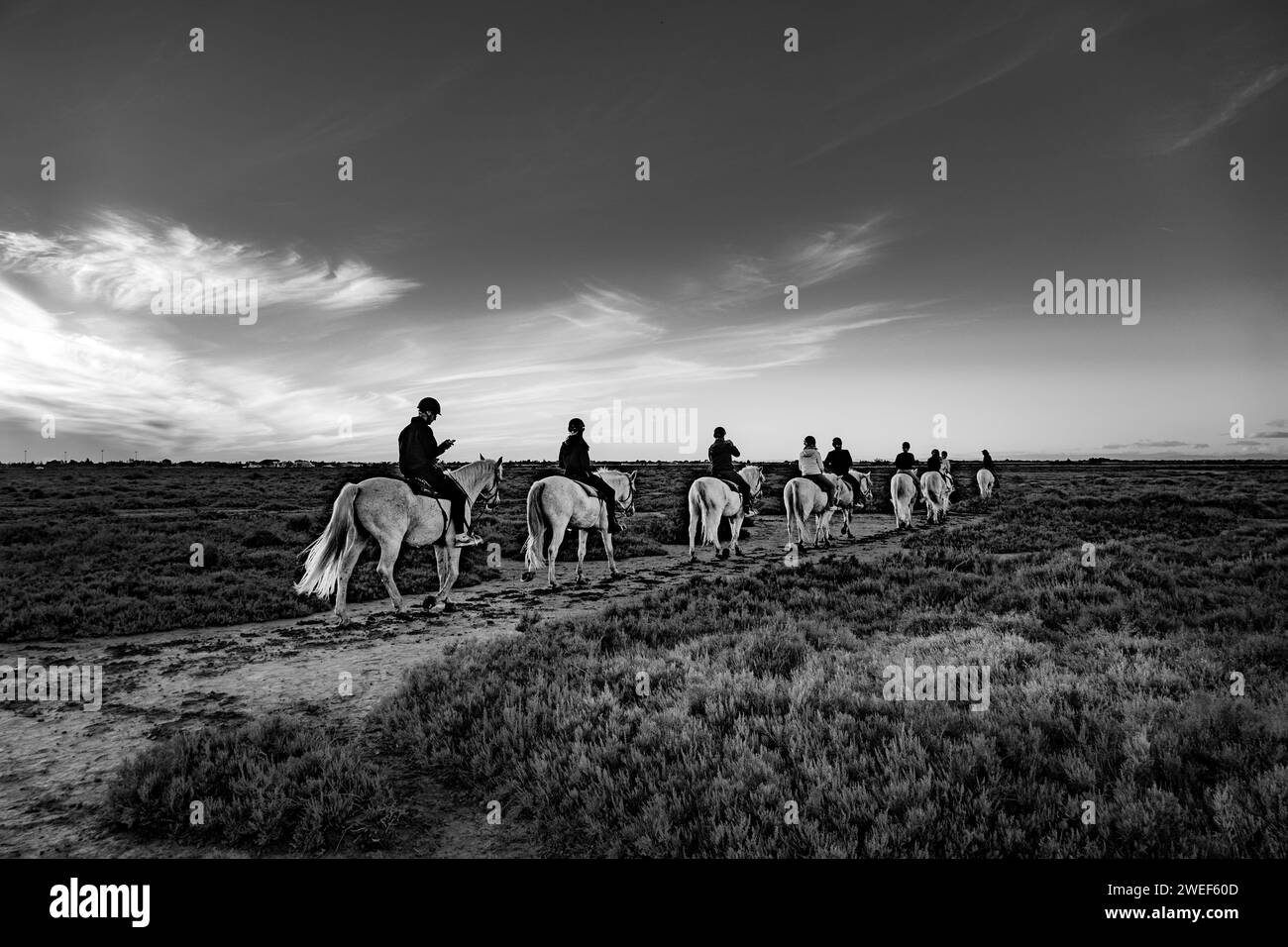A group of people on horseback riding along a dusty path in a captivating black and white capture Stock Photo