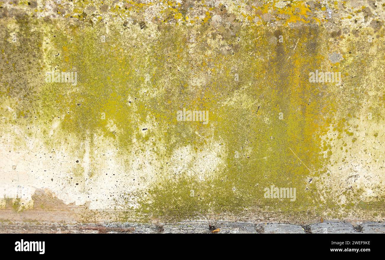 Rain water leaks on the wall causing damage at exterior Stock Photo Alamy