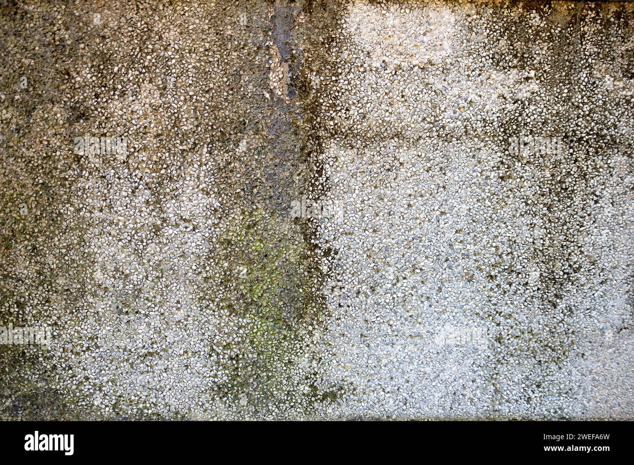Rain water leaks on the wall causing damage at exterior Stock Photo Alamy