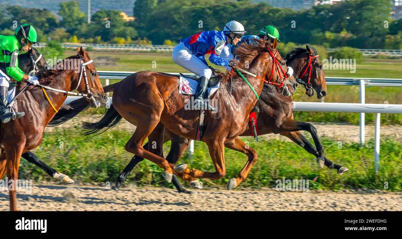 Young Horses Racing Award winning horses hi-res stock photography and images - Alamy