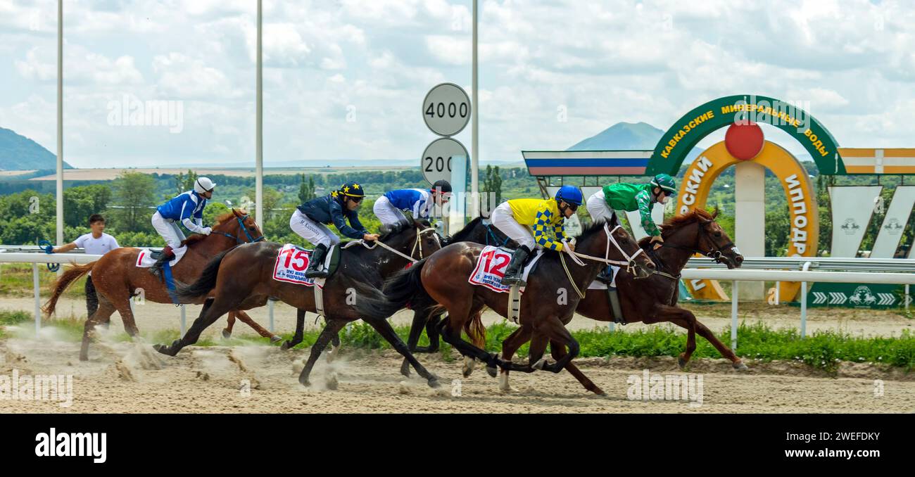 Award winning horses hi-res stock photography and images - Alamy