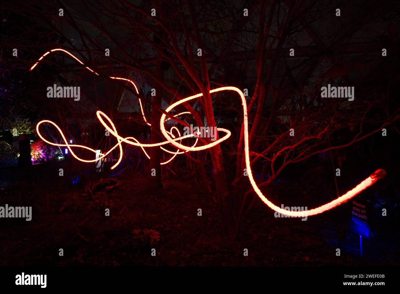 Biophilia art installation by Frankie Boyle at Canary Wharf Winter