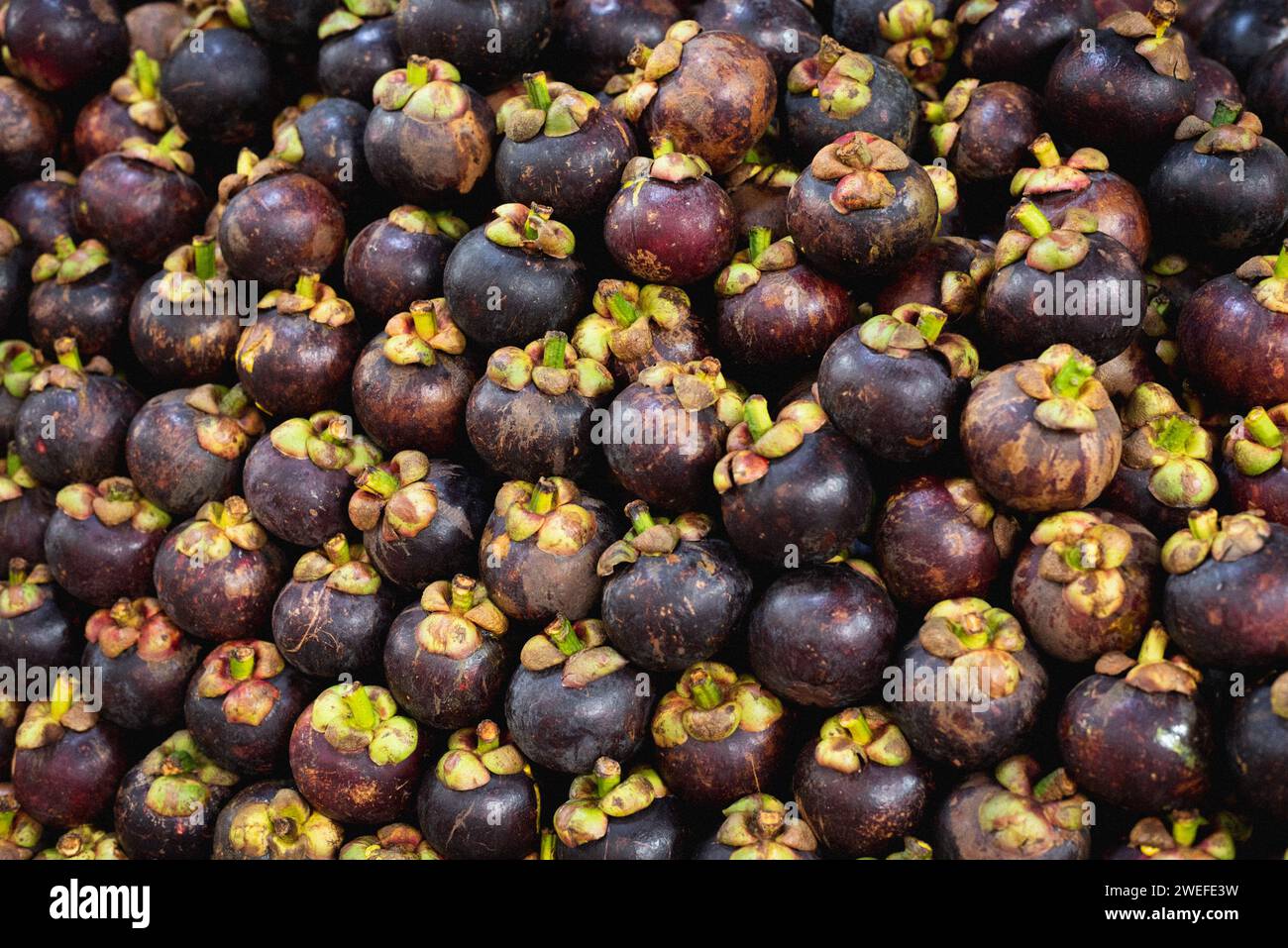 Heap of mangosteens, closeup of a fruit stall. Tropical fruit background Stock Photo
