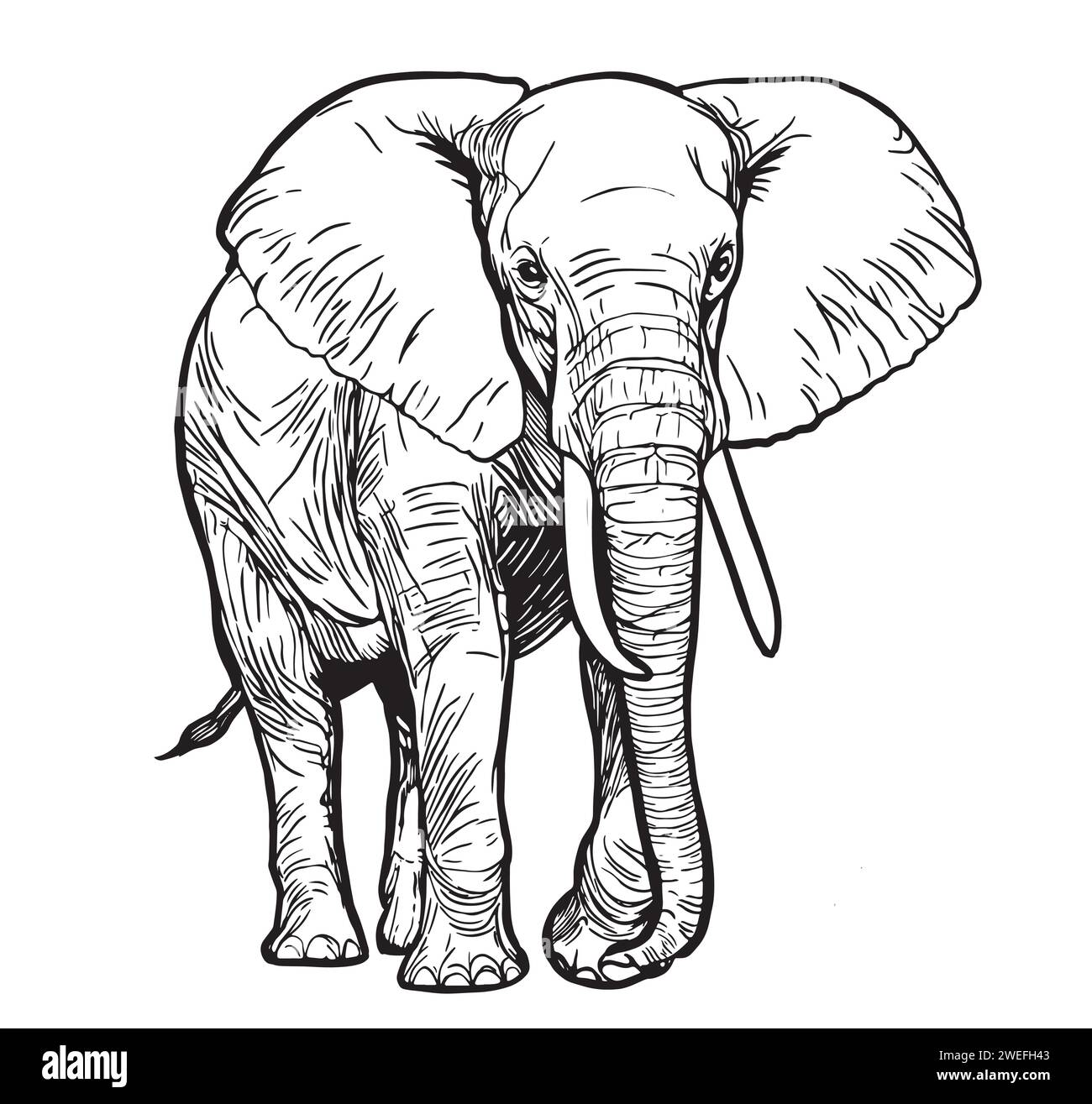 Elephant logo sketch hand drawn in doodle style illustration Stock Vector