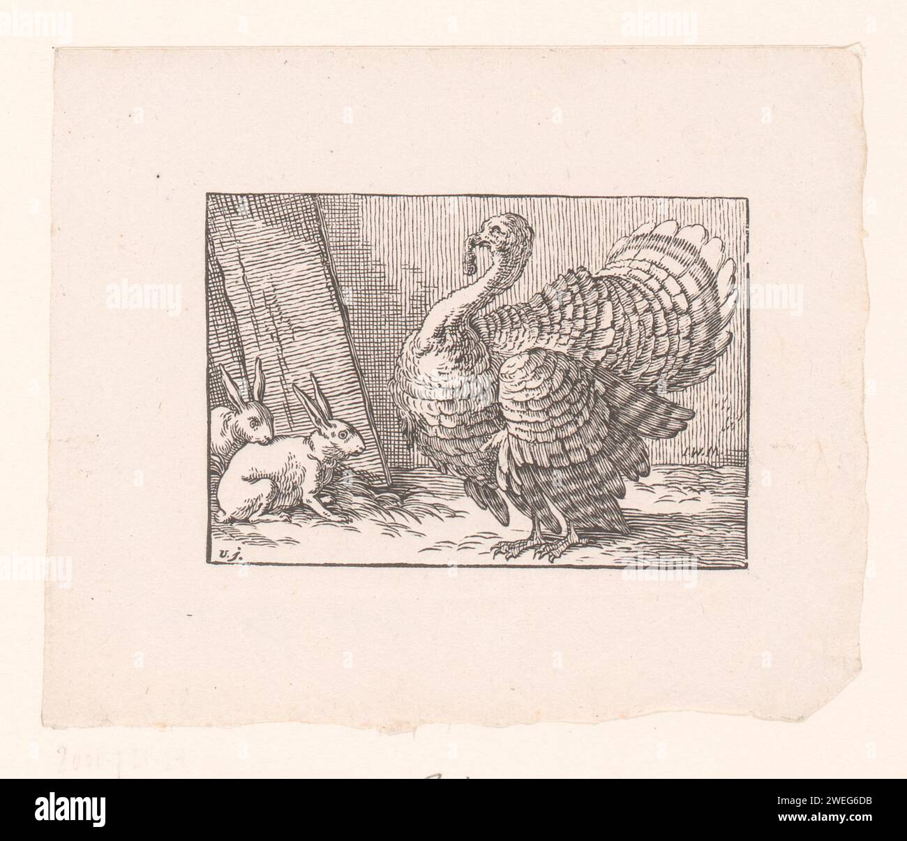 Turkey and two rabbits, Johann Friedrich Gottlieb Unger, 1763 - 1804 ...