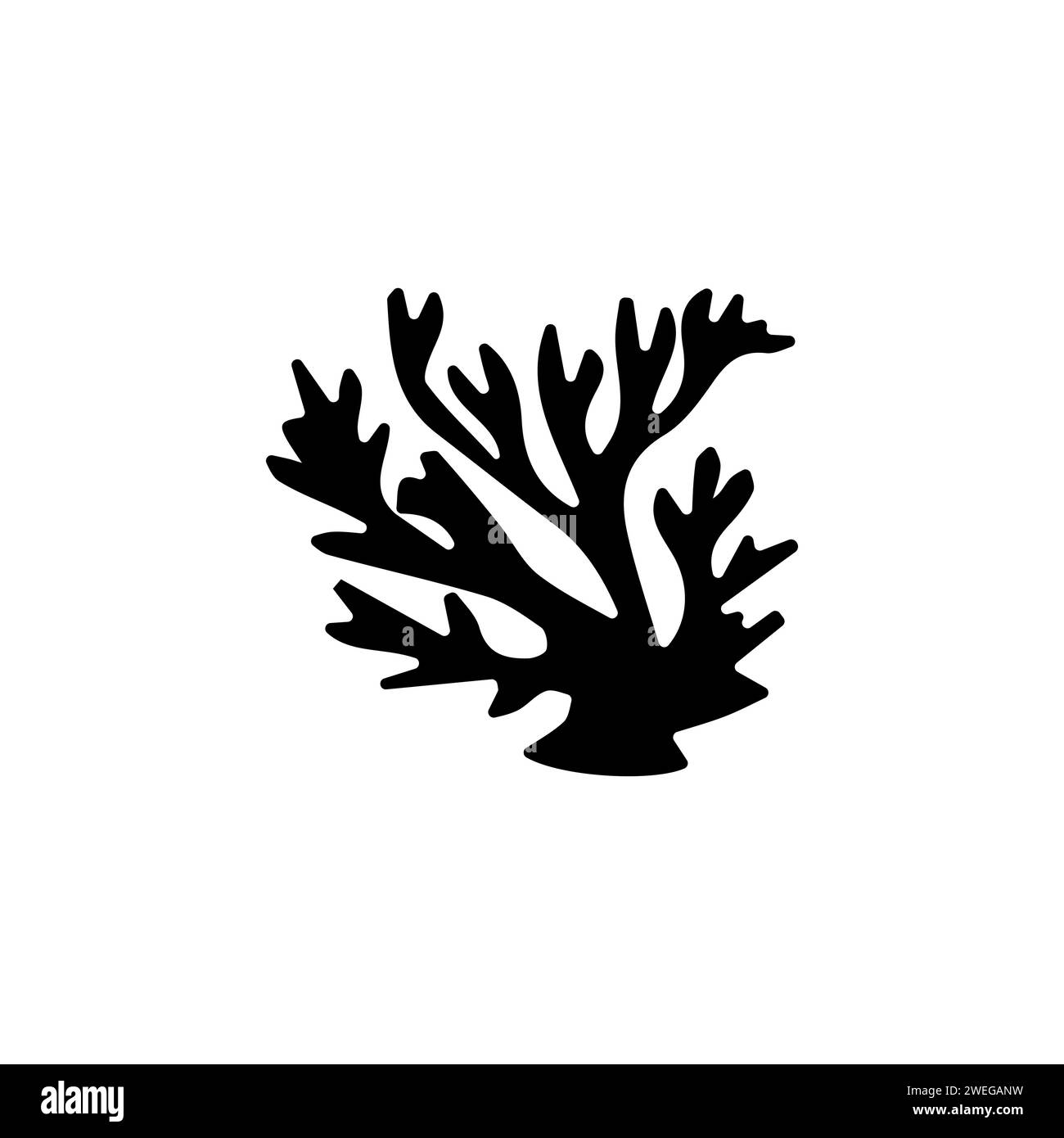 Seaweed. Algae flat vector icon. Simple solid symbol isolated on white background Stock Vector
