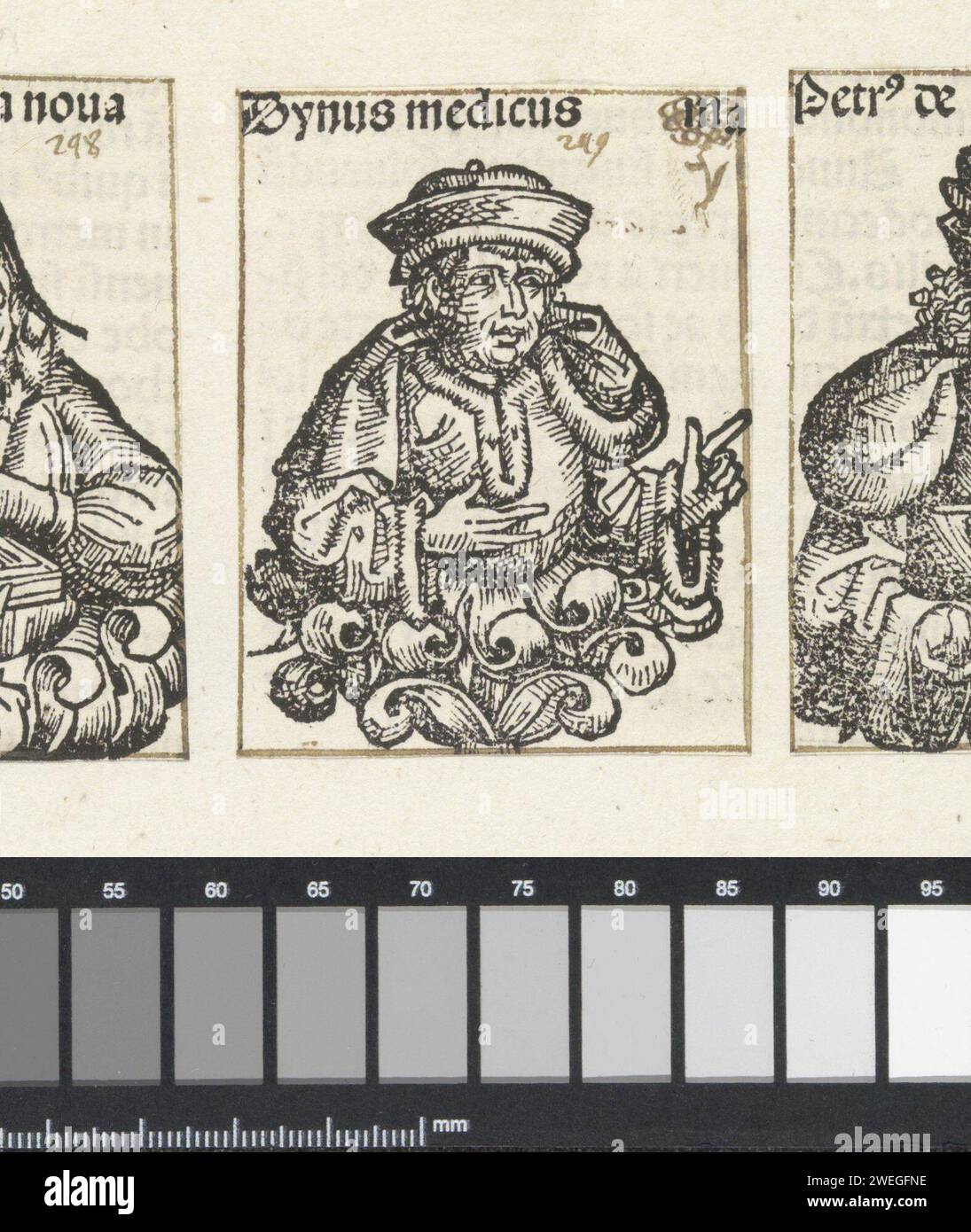 Dino del Garbo, Michel Wolgemut of), 1493 print A flower