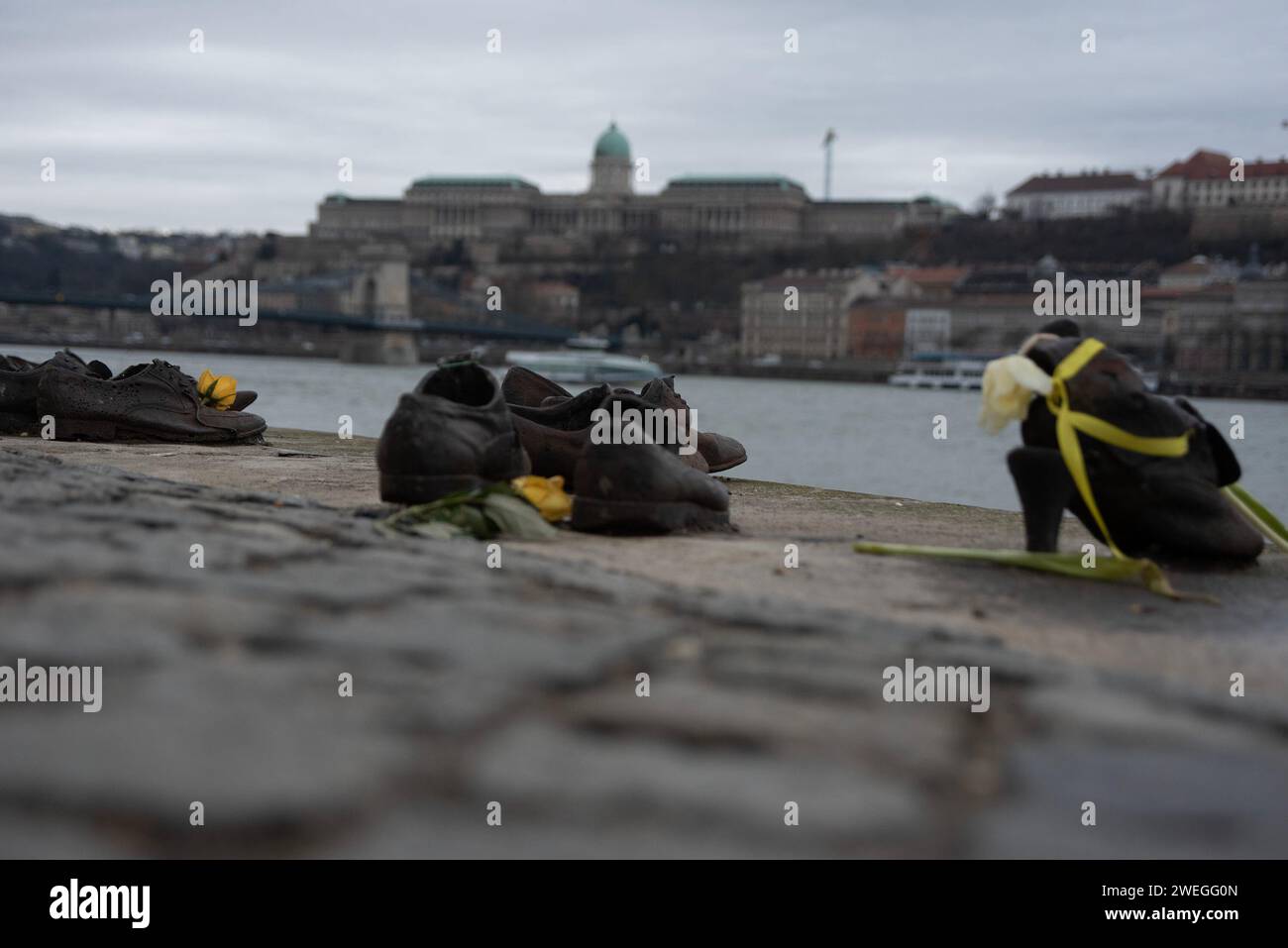 Budapest, Hungary. 24th Jan, 2024. Yellow ribbons and roses placed on the sculpture shoes on the bank of Danube River. A Sculpture of Shoes on the bank of river Danube was formed in 2005 on the East bank of the river by the Gyula Pauer. To honor the Jewish people who were shot into the river by the fascist Hungarian militia called Arrow Cross Party in 1944-45. It became a main attraction for the tourists and the people who want to show respect to the victims. (Credit Image: © Krisztian Elek/SOPA Images via ZUMA Press Wire) EDITORIAL USAGE ONLY! Not for Commercial USAGE! Stock Photo