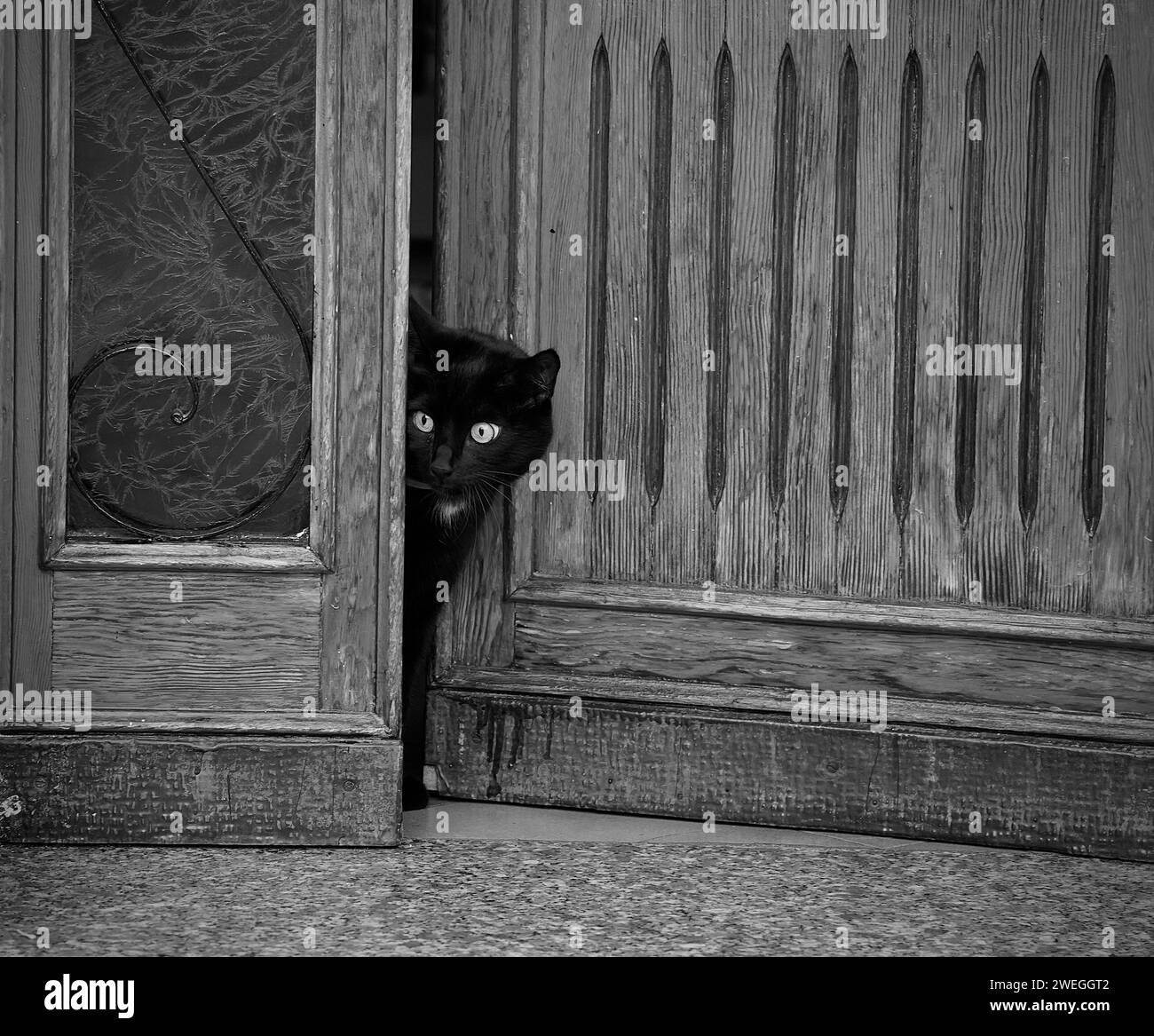 Neighborhood Watch Stock Photo