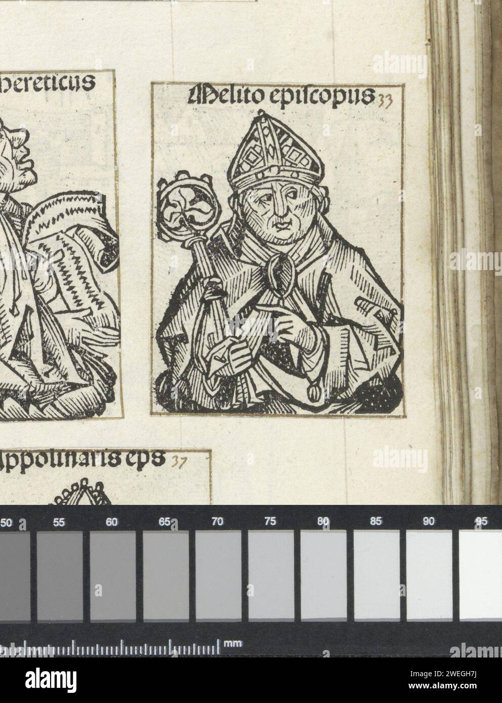 Van sardes hires stock photography and images Alamy