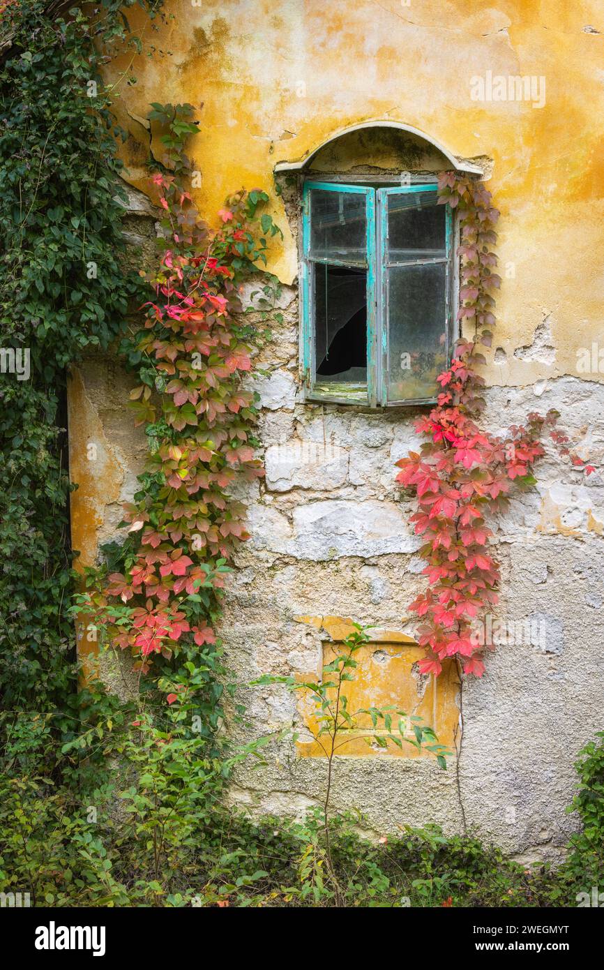 Window in wall of derelict house with autumn foliage, Triglav National Park, Julian Alps, Slovenia Stock Photo