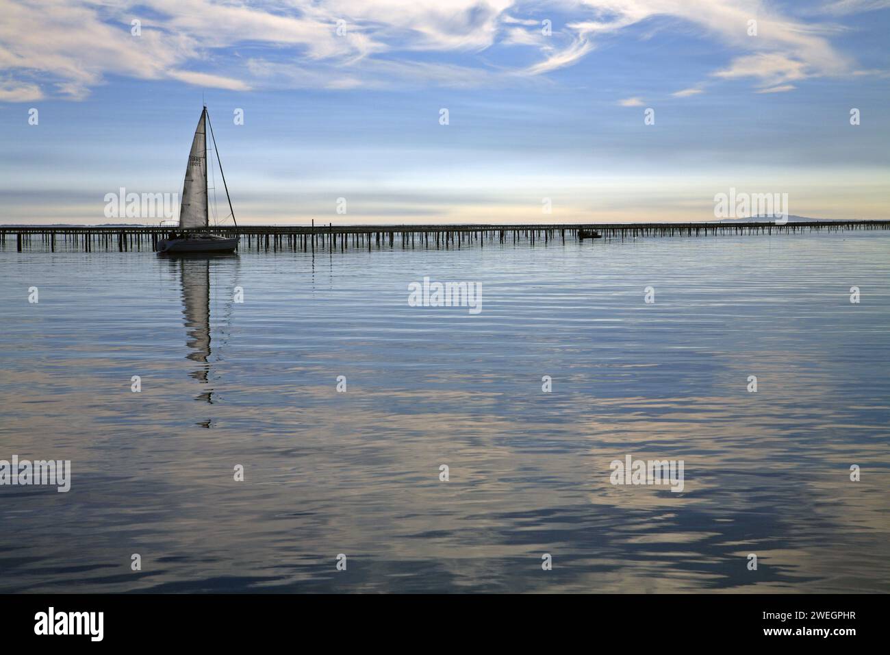 Sailing on the Pond of Thau, Bouzigues, Languedoc Roussillon, France Stock Photo