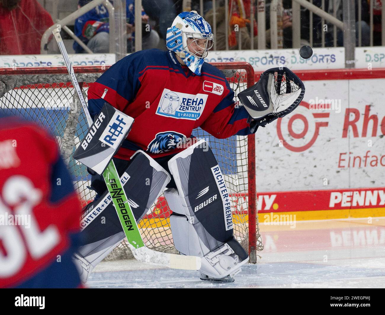 Florian Bugl (Straubing Tigers, 01) ist fokussiert auf den Puk