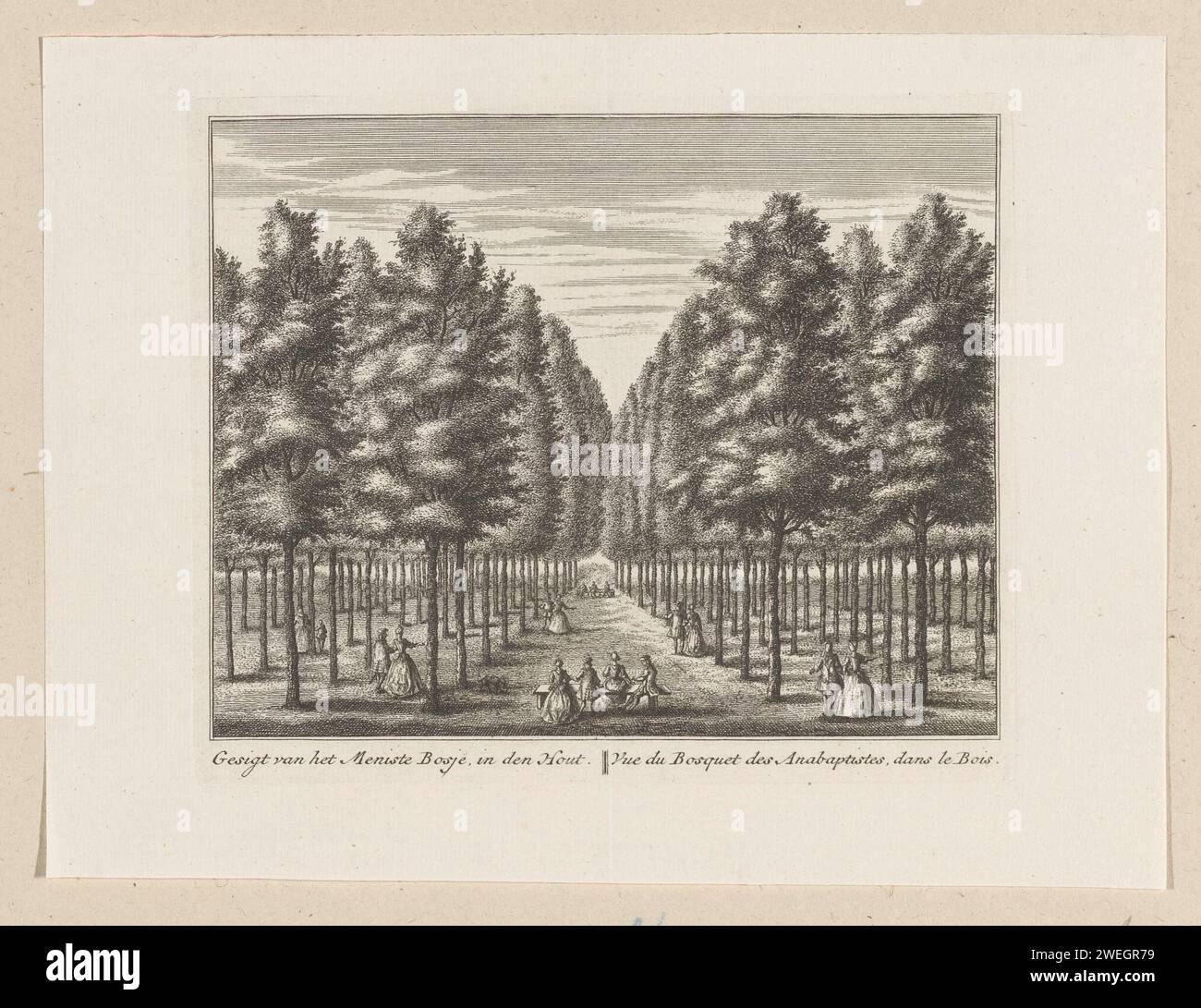 View of the Mennistenbosje in the Alkmaarder Hout, Leonard Schenk, After Abraham Rademaker, 1736 - 1746 print View of the Mennistenbosje in the Alkmaarder wood. Baptists met here in the seventeenth century for services.  paper etching forest path or lane (+ landscape with figures, staffage) Alkmaarder wood Stock Photo