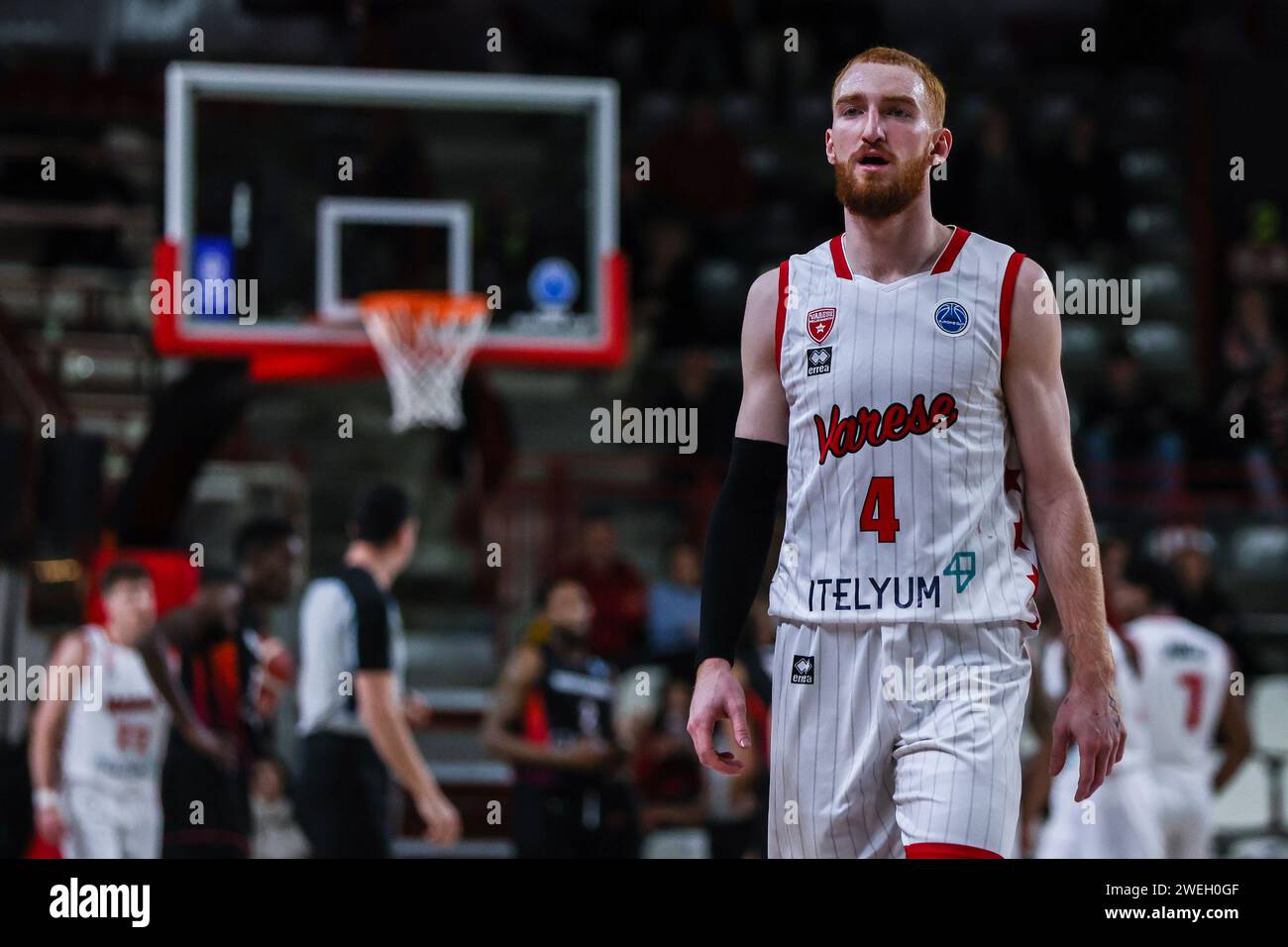 Niccolo mannion hires stock photography and images Alamy