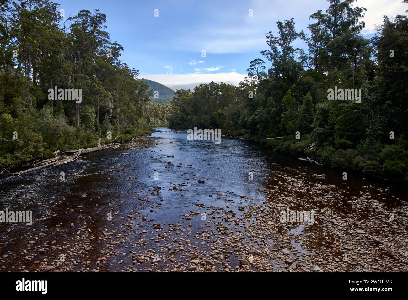 Water flowing through a serene forest amidst vibrant red rocks Stock ...