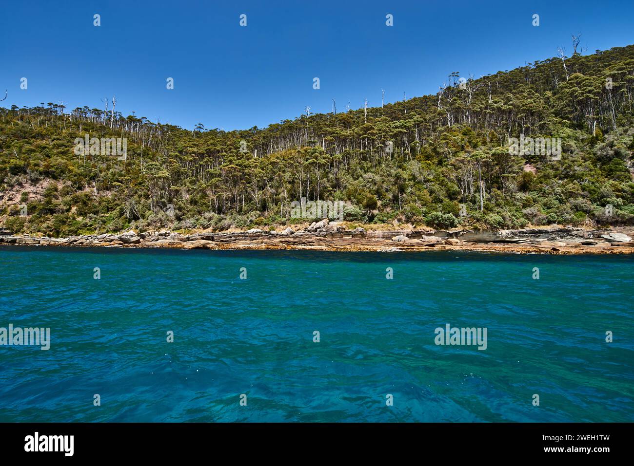 Deep blue water surrounded by rocks and trees Stock Photo