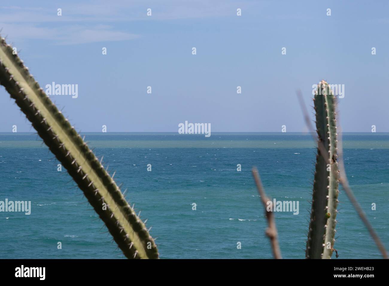Turquoise caribean sea viewed through wild cactus with blue sky at background Stock Photo