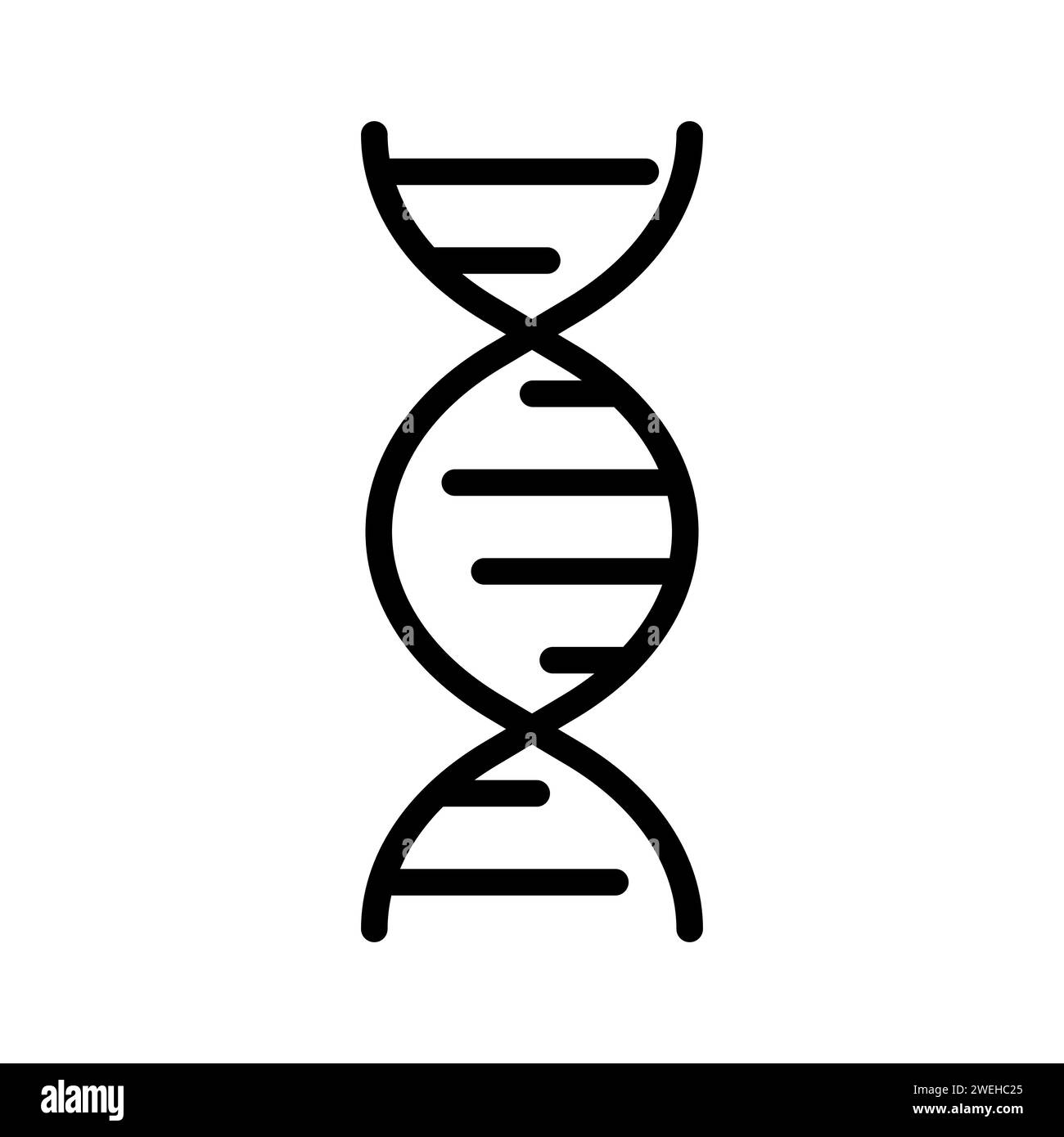 Vector black line icon dna structure isolated on white background Stock ...
