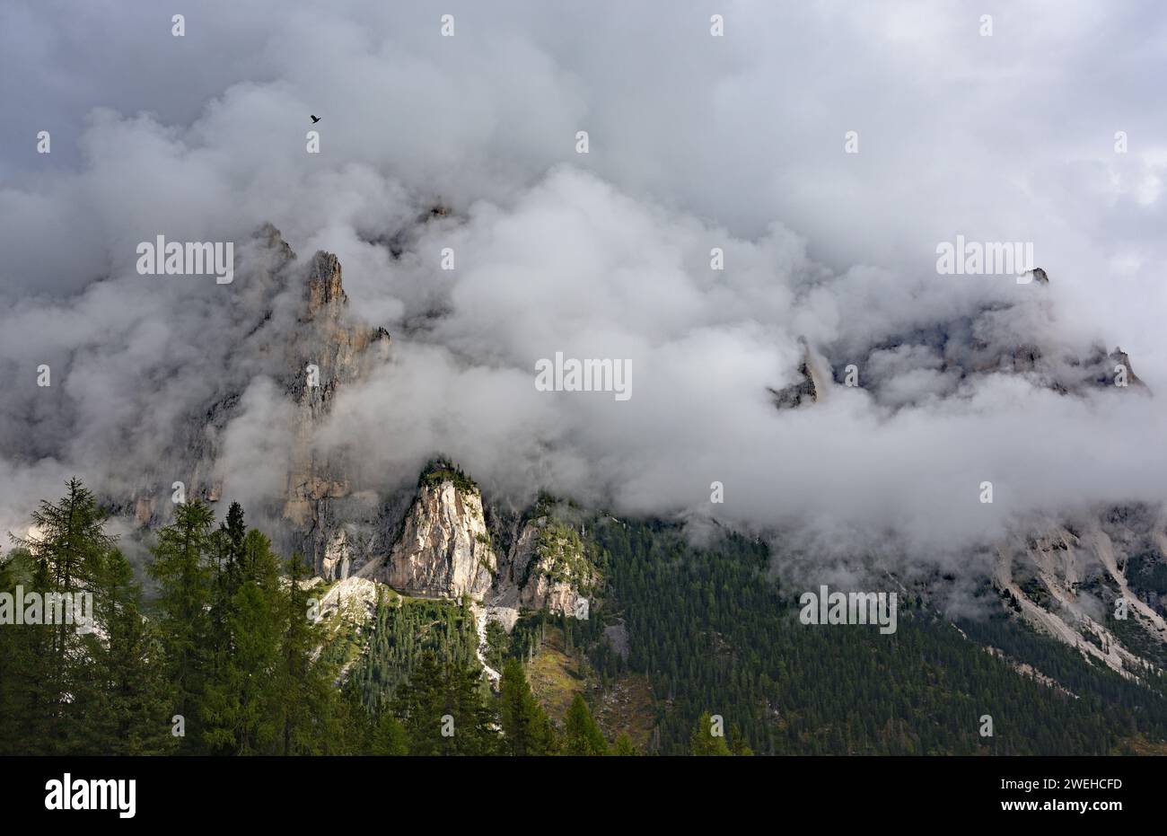 Hiking towards Forca Neigra in the Dolomites Stock Photo - Alamy