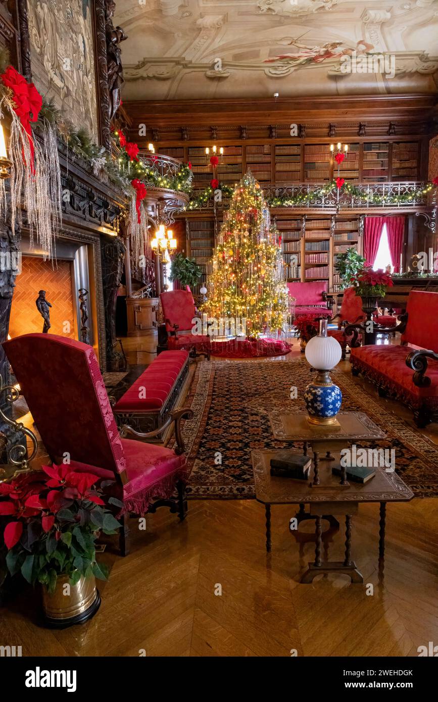 Library with tree decorated for Christmas, Biltmore Estate, Asheville, North Carolina Stock Photo