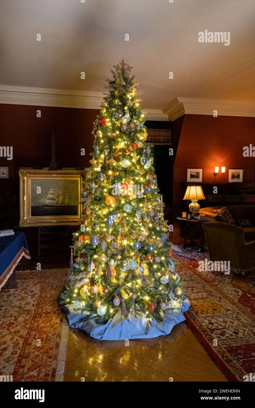 Room with tree decorated for Christmas, Biltmore Estate, Asheville, North Carolina Stock Photo