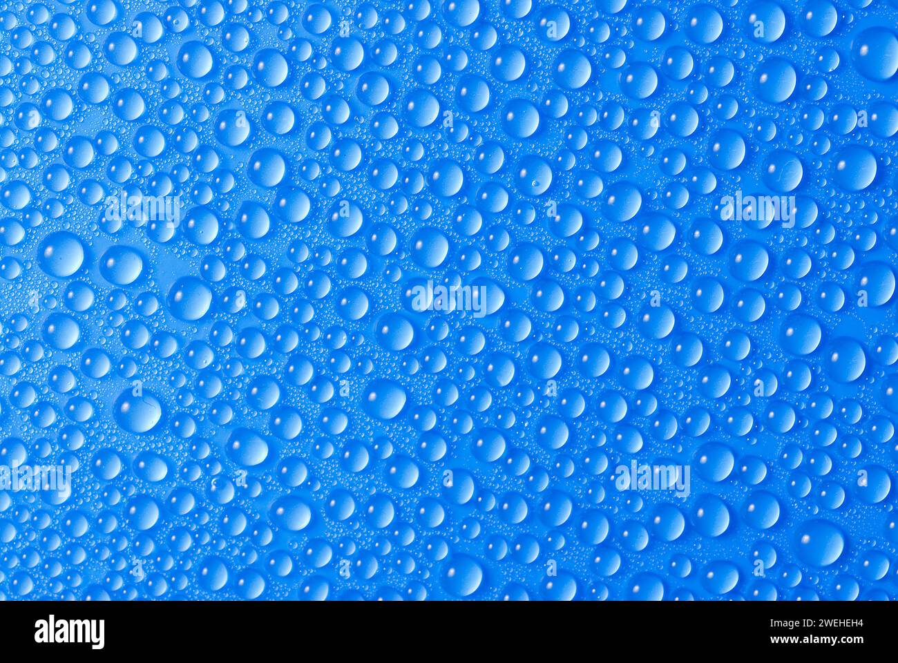 many small blue drops of water on a blue surface Stock Photo