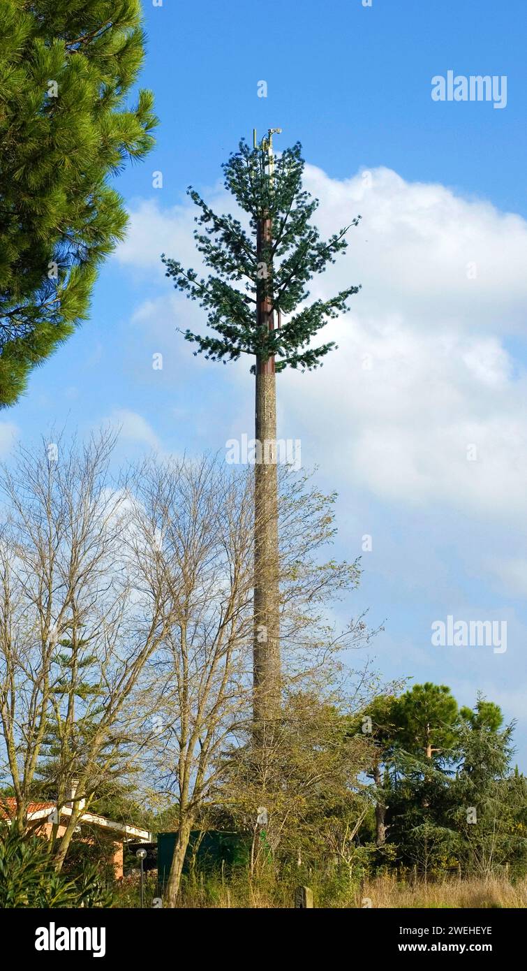 a mobile phone mast camouflaged as a tree Stock Photo