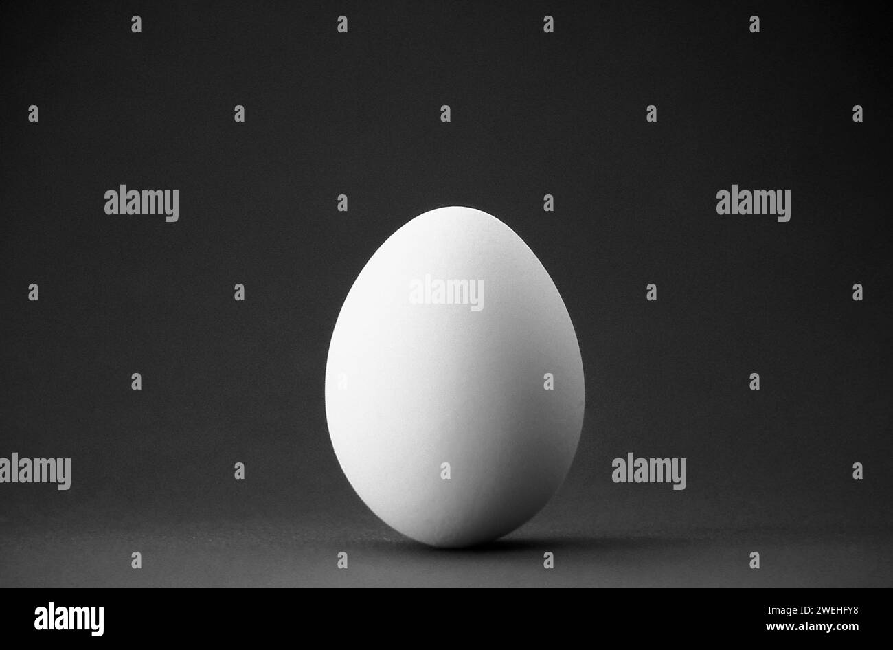 a white hen's egg in the studio, close-up Stock Photo