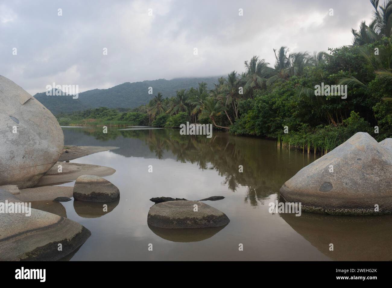 Beautiful tropical river in middle of tayrona park with mangrove swamp and big rocks Stock Photo